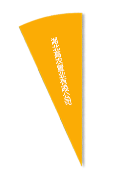 美彩国际·(中国区) - 官网
