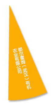 美彩国际·(中国区) - 官网