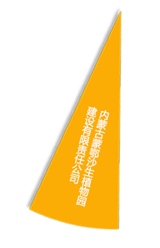 美彩国际·(中国区) - 官网