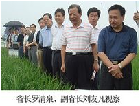 美彩国际·(中国区) - 官网