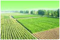 美彩国际·(中国区) - 官网