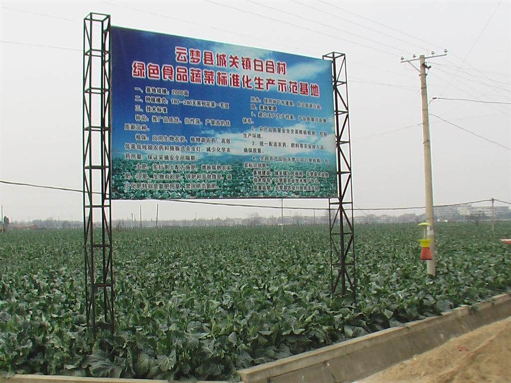 美彩国际·(中国区) - 官网