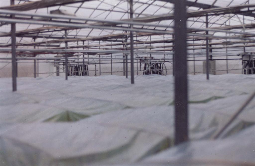 美彩国际·(中国区) - 官网