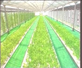 美彩国际·(中国区) - 官网