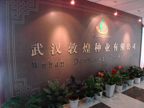 美彩国际·(中国区) - 官网