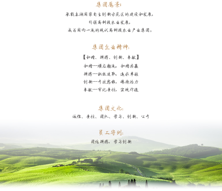 美彩国际·(中国区) - 官网